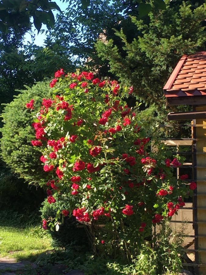 Willa Schmetterling Villa Duszniki Zdrój Eksteriør bilde